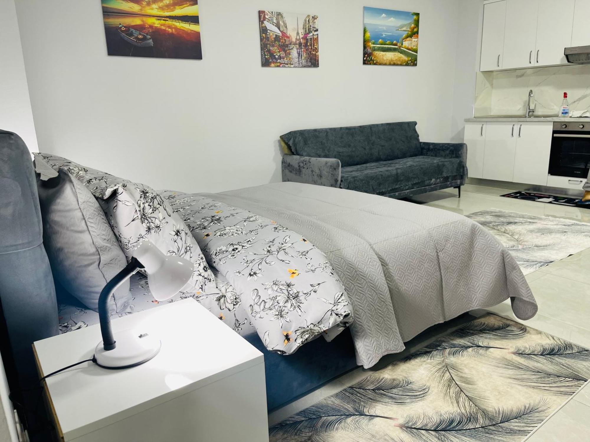 Albis Apartment 2 地拉那 外观 照片